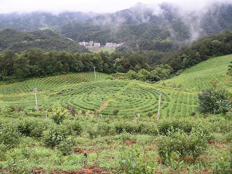 济南基地照片-15